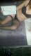 Private Photo of comevuoi