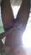 Godi